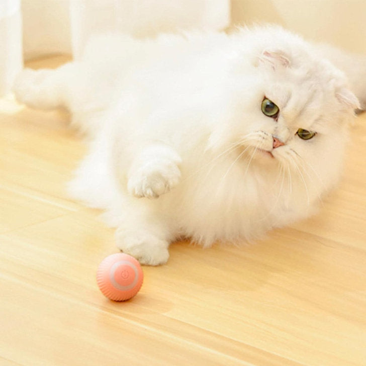 Automatic Intelligent Rolling Tease Pet Ball