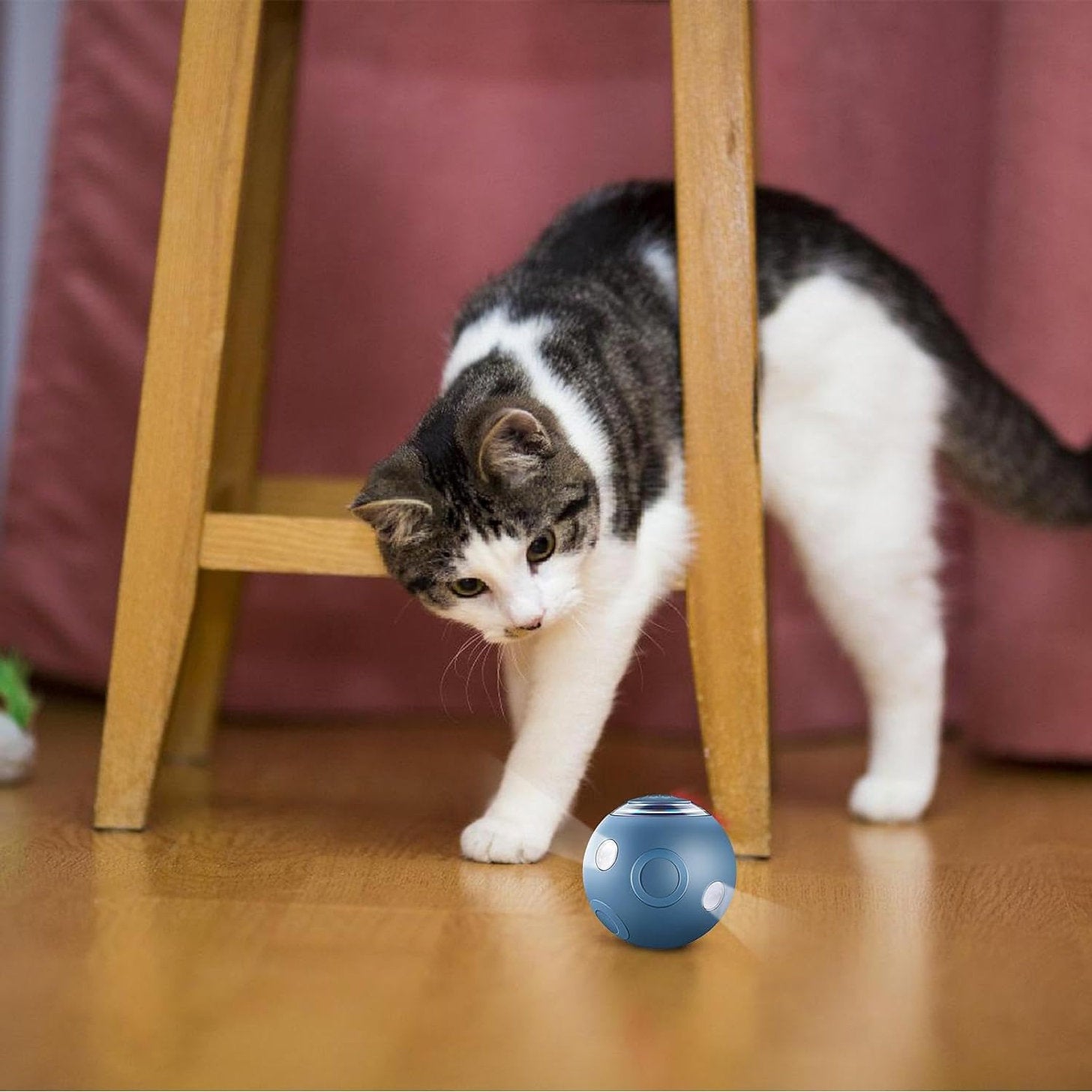 Smart Ball for Pets
