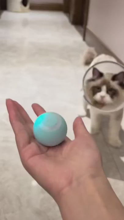 Automatic Intelligent Rolling Tease Pet Ball